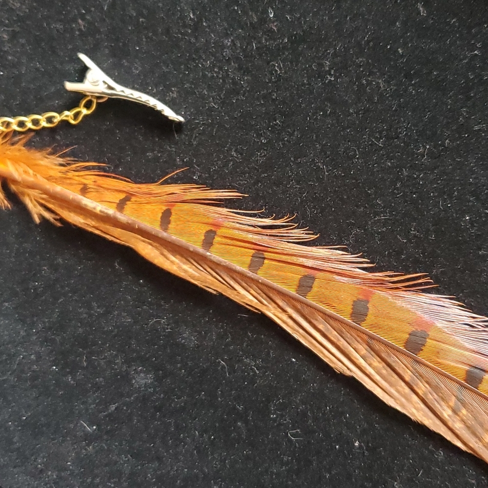 Teenagers feather hair clip.